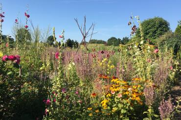 Naturnaher Garten