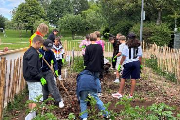 Die Schülerinnen und Schüler der Klasse 4c sind mit Feuereifer bei der Pflanzung der Sommergemüse.