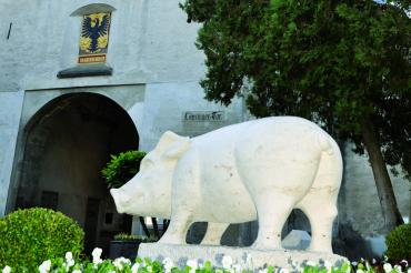 Schwein Rathaus Nördlingen 