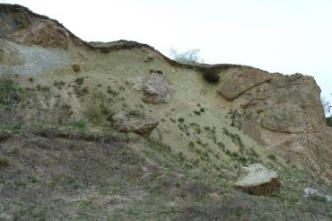Das neu erschlossene Geotop bei Unterwilflingen ist einer der interessantesten und buntesten Aufschlüsse im Geopark Ries. 