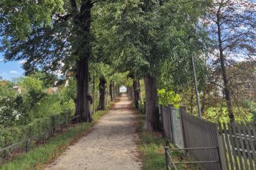 Bäumlesgraben