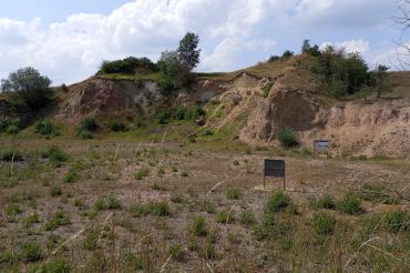 Das neu erschlossene Geotop bei Unterwilflingen ist einer der interessantesten und buntesten Aufschlüsse im Geopark Ries.