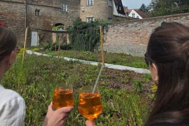 Gastroausschreibung Landesgartenschau 2028