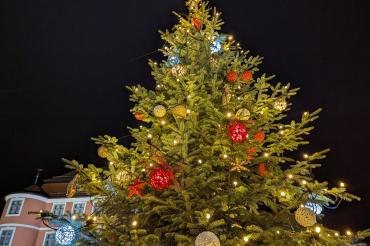 Donauwörther Weihnachtsbaum 