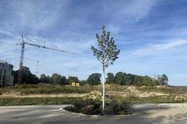 Auf zwei Baufeldern im Dr.-Alfred-Böswald-Ring sollen zwei Mehrparteienhäuser mit insgesamt über 120 Wohnungen entstehen. 