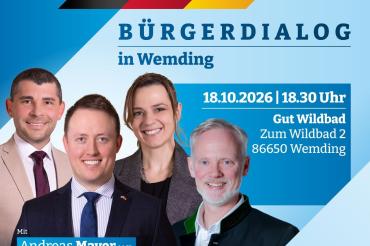 AfD Bürgerdialog 