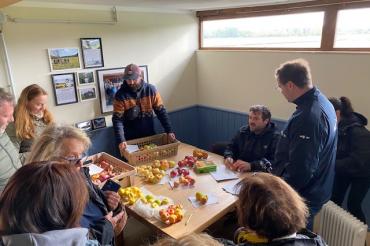 Die Besucherinnen und Besucher während der Bestimmung von Obstsorten