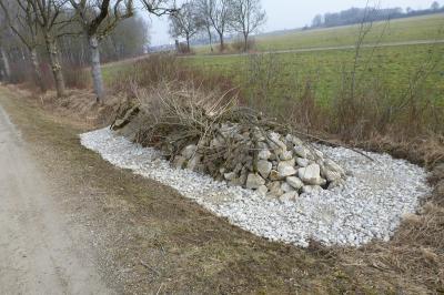 Reptilienhabitat bei Ellgau