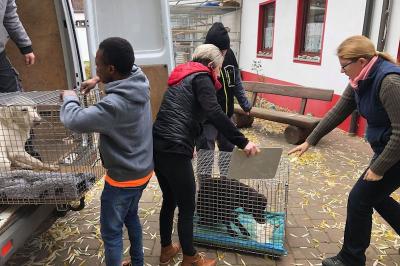 46486111_2211437442446553_3719747312503750656_n