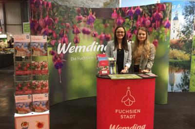 Das Bild zeigt den Messestadt der Fuchsienstadt Wemding bei der Afa.