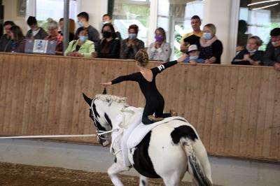 Die Teilnahme des VZN mit 2 Teams am Voltigierturnier in Röhlingen war mit Erfolg gekrönt