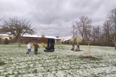 Nachpflanzungsaktion