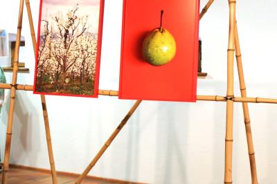 zwei gemälde mit birne und baum mit blüten