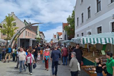 Maimarkt in Rain. 