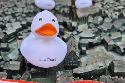 Entenrennen Stadt Nördlingen