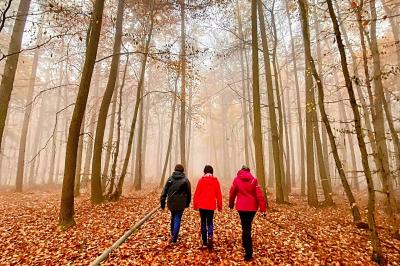 Monheimer alb wanderweg treffen