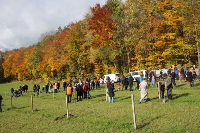 Familienwald in Wemding. 