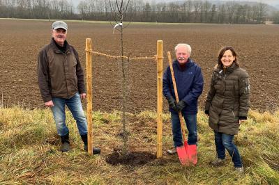 Das Bild zeigt von links nach rechts: Wilhelm Faul (Vorsitzender des OGV Harburg), Altbürgermeister Anton Fischer, Stadträtin und Umweltreferentin Martina Thiel.