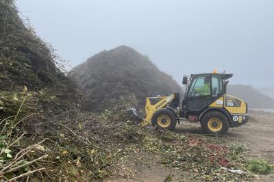 Grünsammelplätzender