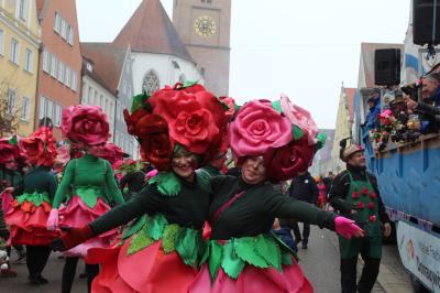 Faschingsumzug Donauwörth 2026