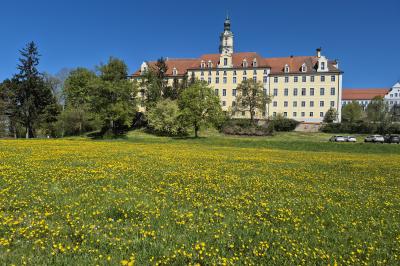 Donauwörth Open-Air im Sommer findet auf der Heilig-Kreuz-Wiese auch ein Open-Air Kino statt