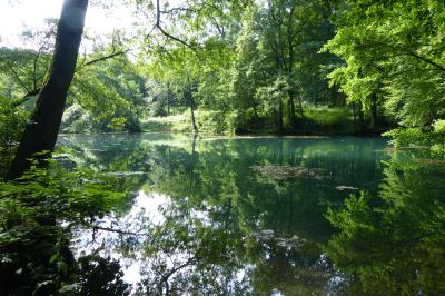  Der Wemdinger Doosweiher ist eines der Highlights am Sagenweg