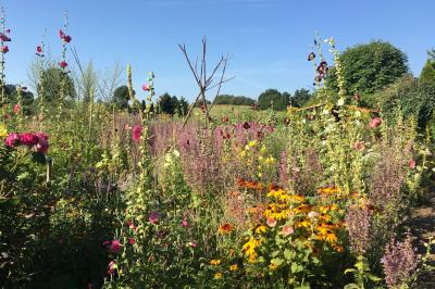 Naturnaher Garten
