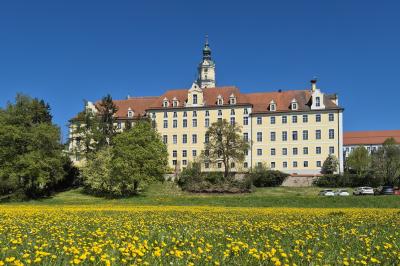 Kinoabstimmungen Open-Air-Kino im Heilig-Kreuz-Garten