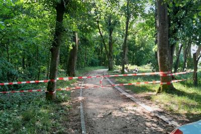 Sturmschäden in Nördlingen