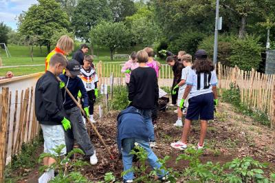 Die Schülerinnen und Schüler der Klasse 4c sind mit Feuereifer bei der Pflanzung der Sommergemüse.
