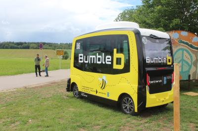 BumbleB Wudzdog