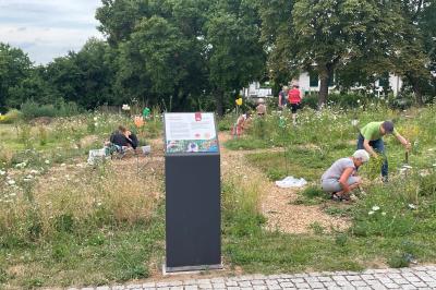 Naschgarten Nördlingen Arbeitseinsatz