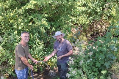 Gemeinsam für den Schutz der Bachmuschel: 2. Bürgermeister Steffen Höhn und Muschel- und Krebsberater Andre Holzinger lassen aufbereitetes Wasser in den Goldbach ein, um den Untergrund zu befeuchten und damit der streng geschützten Bachmuschel das Überstehen der anhaltenden Trockenperiode zu ermöglichen.