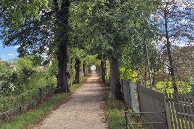 Bäumlesgraben