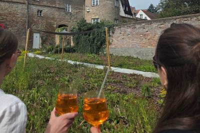 Gastroausschreibung Landesgartenschau 2028
