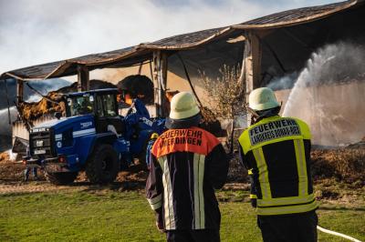 Eliminieren des Feuers auf dem Reiterhof  