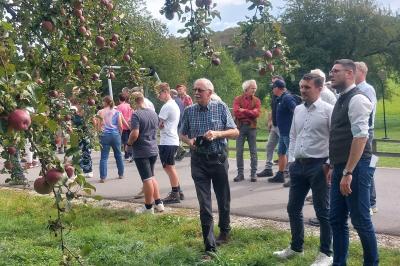 Landrat Michael Dinkelmeier und Harburgs Bürgermeister Christoph Schmidt (v.r.) bewundern einen reich behängten alten Apfelbaum