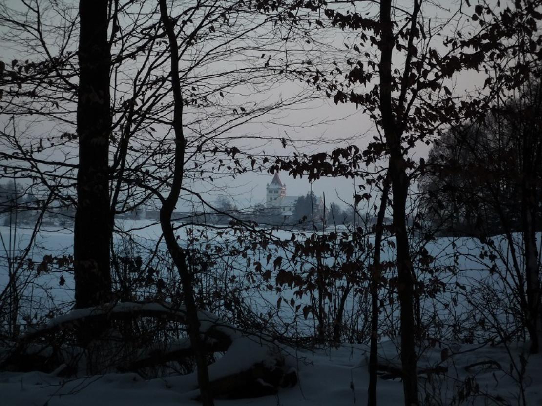 St. Gallus Winter kopie