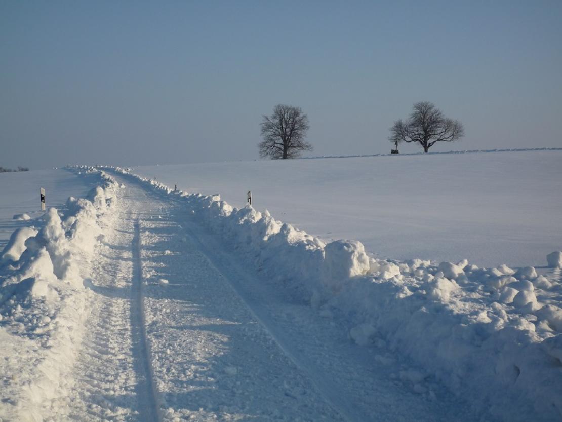 Tiefster Winter zwischen Hochaltingen und Schopflohe kopie. jpg