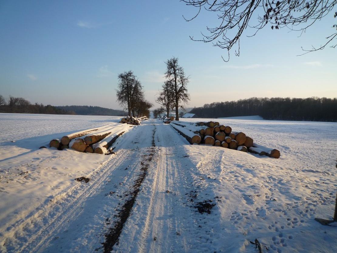 Winter bei Uttenstetten kopie