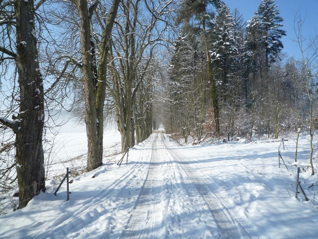 Winterlandschaft 1 kopie