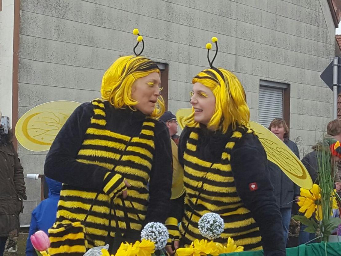 26303b1b-636c-4fff-8b64-46685d8f6e15