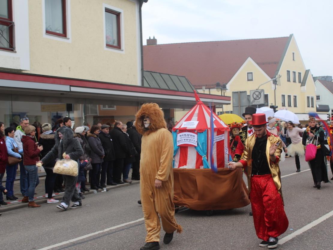 Faschingsumzug Rain 2017-11