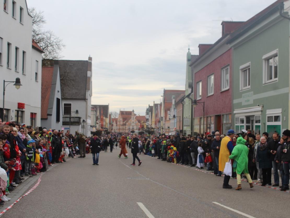 Faschingsumzug Rain 2017-2