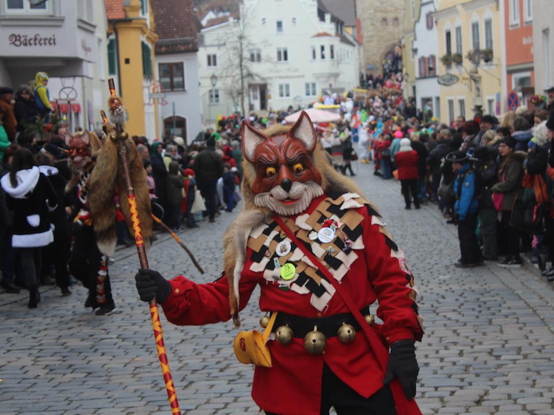 Faschingsumzug Wemding 201714