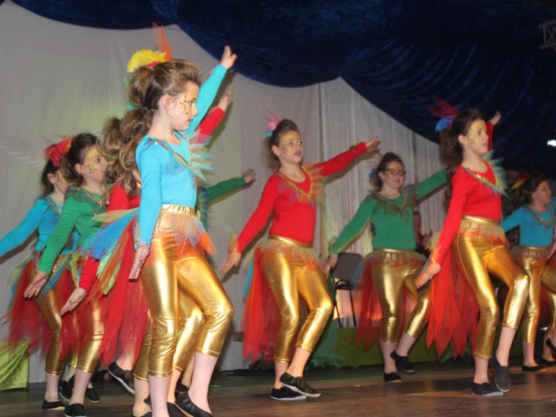 Prunksitzung Mertingen 2017@Matthias Stark 068