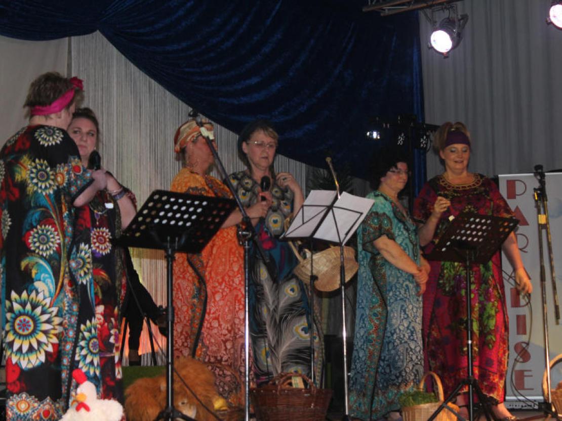 Prunksitzung Mertingen 2017@Matthias Stark 116