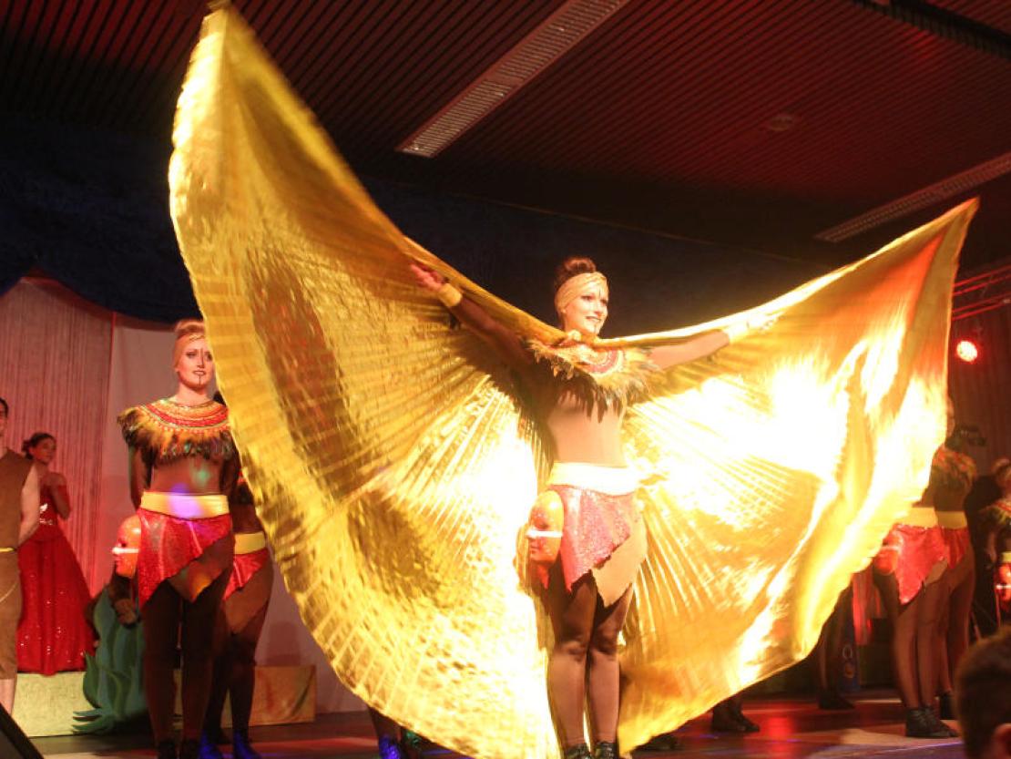 Prunksitzung Mertingen 2017@Matthias Stark 123