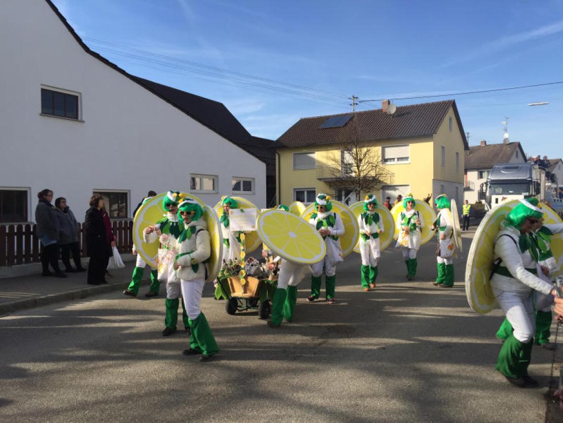 Umzug Genderkingen 2017@Matthias Stark 015