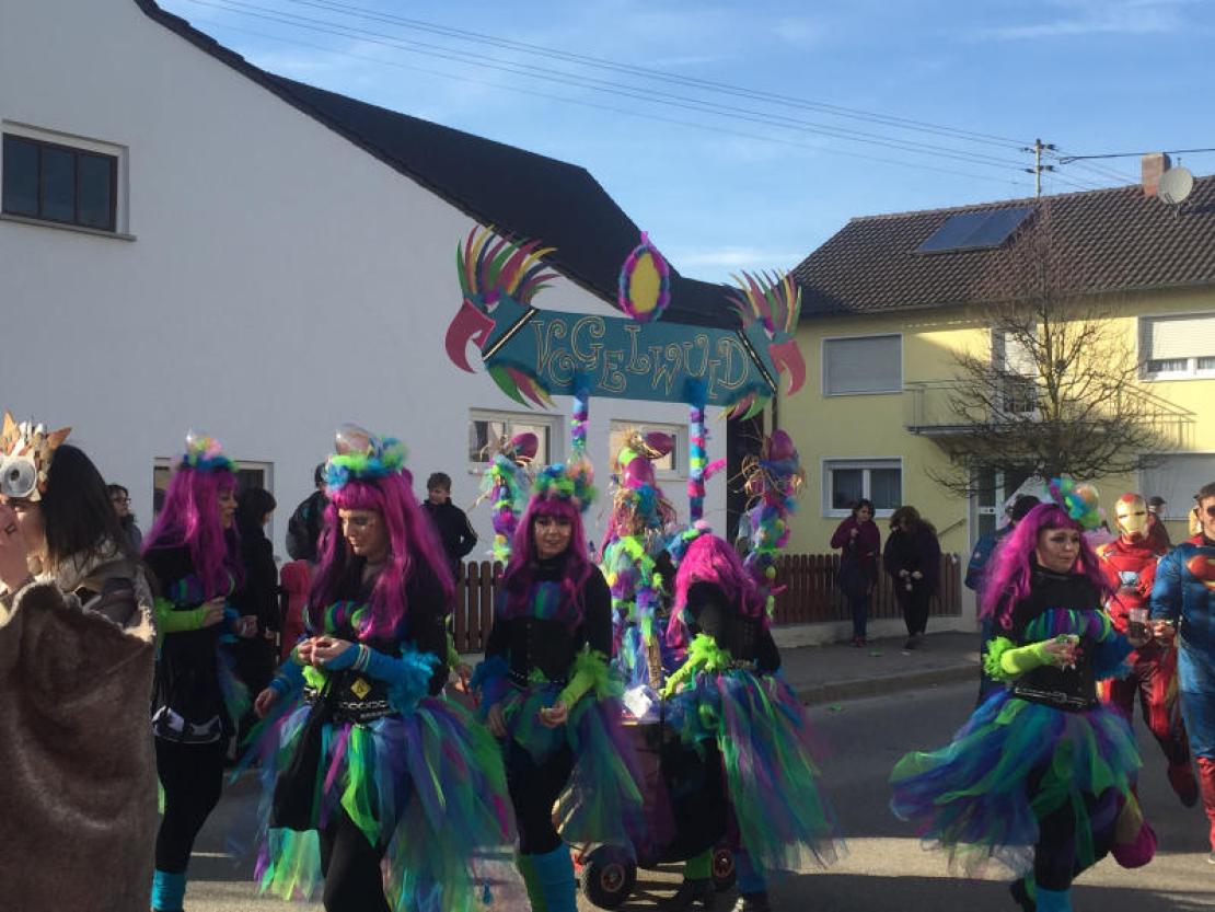 Umzug Genderkingen 2017@Matthias Stark 022